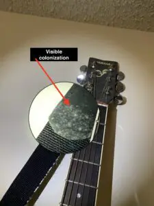 A guitar with the strings visible and a picture of it.