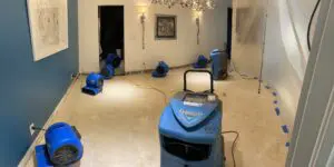 A room with several blue vacuums on the floor.