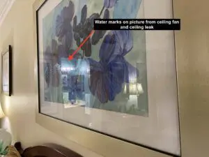 A picture of the water mark on a painting.