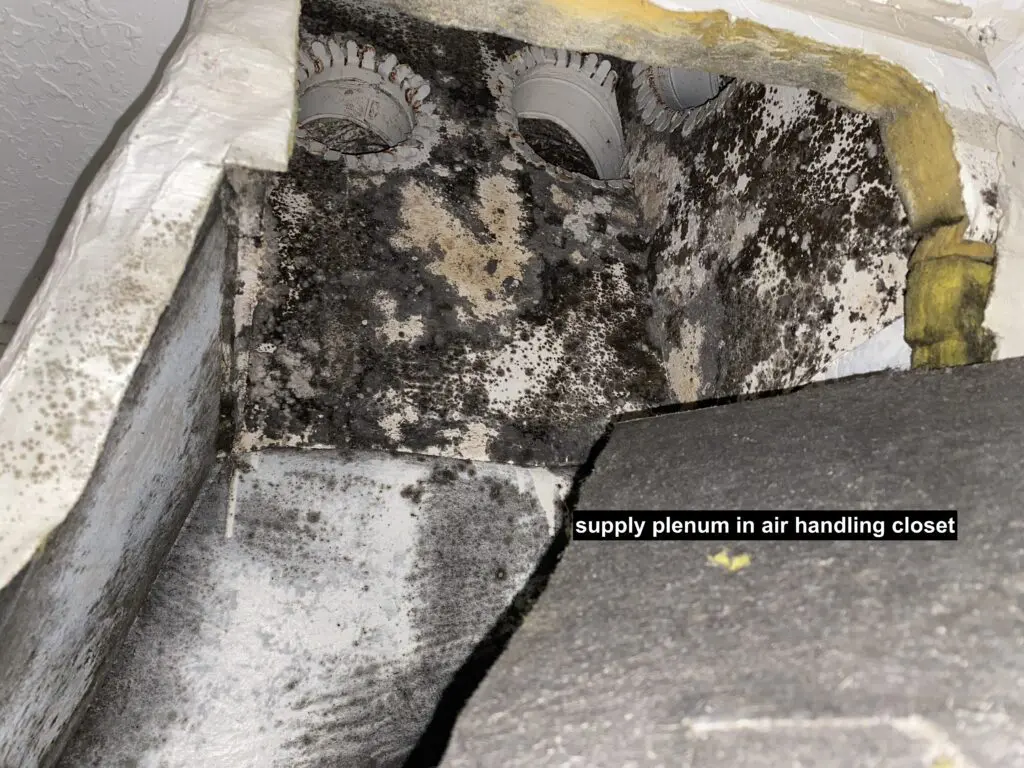 A dirty air duct with black spots on it.