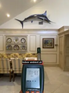 A room with a fish mounted on the wall.