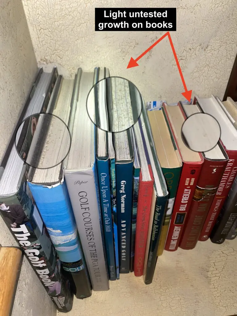 A close up of books on the shelf