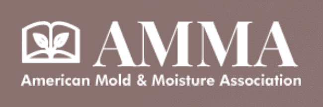 A brown and white logo for amm