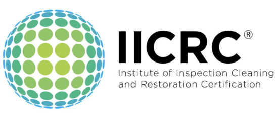 A logo for the institute of inspection and restoration