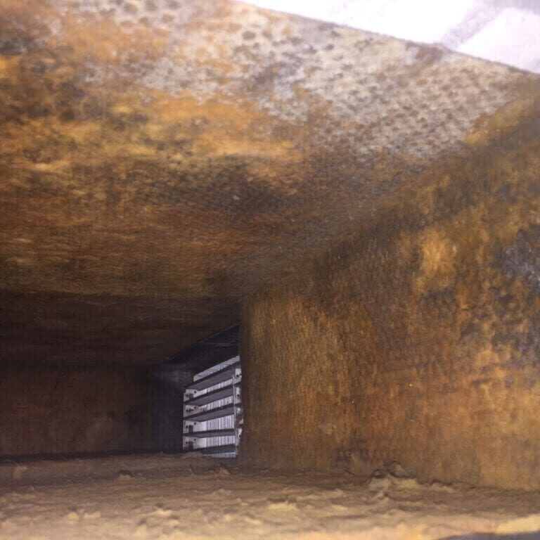 Mold growing on fiberglass lined ducts.